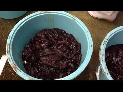 くじら 通販 鯨のたれ レシピ 食べ方 お土産