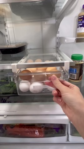 Extra Fridge Storage Hack You Need!