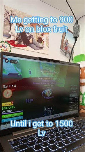 grinding until i get to 1500 Lv on blox fruit