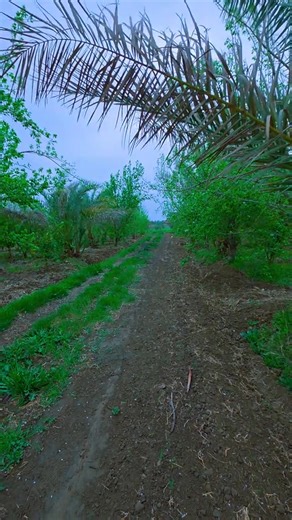 ï´¿ÙˆÙŽÙ„ÙØªÙÙƒÙ’Ù…ÙÙ„ÙÙˆØ§ Ø§Ù„Ù’Ø¹ÙØ¯ÙŽÙ‘Ø©ÙŽ ÙˆÙŽÙ„ÙØªÙÙƒÙŽØ¨ÙÙ‘Ø±ÙÙˆØ§ Ø§Ù„Ù„ÙŽÙ‘Ù‡ÙŽ Ø¹ÙŽÙ„ÙŽÙ‰Ù° Ù…ÙŽØ§ Ù‡ÙŽØ¯ÙŽØ§ÙƒÙÙ…Ù’ ÙˆÙŽÙ„ÙŽØ¹ÙŽÙ„ÙŽÙ‘ÙƒÙÙ…Ù’ ØªÙŽØ´Ù’ÙƒÙØ±ÙÙˆÙ†ÙŽï´¾. â€Ø§Ù„Ù„Ù‡ Ø£ÙƒØ¨Ø± ØŒ Ø§Ù„Ù„Ù‡ Ø£ÙƒØ¨Ø± ØŒ Ø§Ù„Ù„Ù‡ Ø£ÙƒØ¨Ø± ØŒ Ù„Ø§ Ø¥Ù„Ù‡ Ø¥Ù„Ø§ Ø§Ù„Ù„Ù‡ Ø§Ù„Ù„Ù‡ Ø£ÙƒØ¨Ø± ØŒ Ø§Ù„Ù„Ù‡ Ø£ÙƒØ¨Ø± ØŒ ÙˆÙ„Ù„Ù‡ Ø§Ù„Ø­Ù…Ø¯ Ø§Ù„Ù„Ù‡ Ø£ÙƒØ¨Ø± ÙƒØ¨ÙŠØ±Ø§ ØŒ ÙˆØ§Ù„Ø­Ù…Ø¯Ù Ù„Ù„Ù‡ ÙƒØ«ÙŠØ±Ø§ ÙˆØ³Ø¨Ø­Ø§Ù† Ø§Ù„Ù„Ù‡ Ø¨ÙƒØ±Ø©Ù‹ ÙˆØ£ØµÙŠÙ„Ø§ ðŸ¤ | Ø§Ù†ÙˆØ± Ù…Ø·Ø±