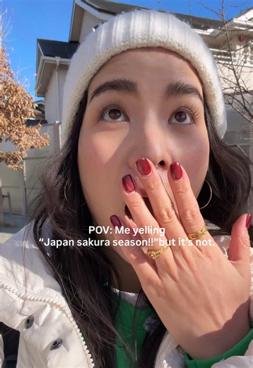 Even as a Japanese person, I get confused for a second sometimes. Pink flower in early February? Looks like sakura… right? But cherry blossoms in Japan usually bloom from late March to early April. Early February is too soon. Not every pink flower in Japan is sakura. Spring here starts quietly — and it tricks all of us sometimes 🌸