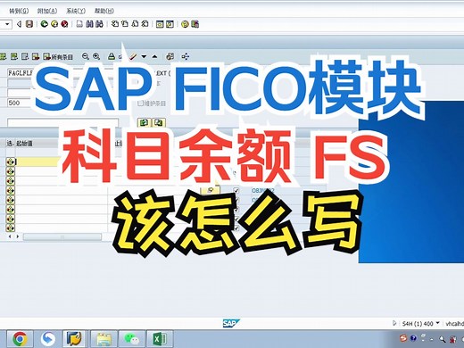 SAP FICO模块科目余额FS该怎么写 SAP S4 HANA SAP ABAP SAP MM