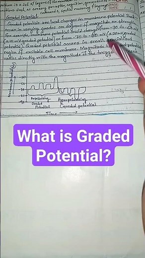 graded potential physiology #physiology #biology #shortsfeed #shorts #ytshorts