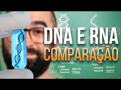DNA and RNA [nucleic acids] - Class 08 - Module 1: Biochemistry - Prof. Guilherme