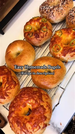 Homemade Bagels Recipe for Beginners