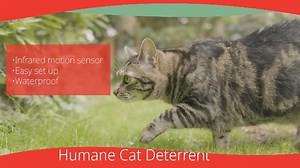 Pestbye Cat Repellers