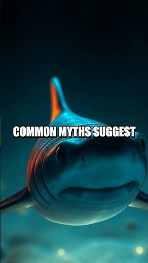 The Glow in the Deep: The Dwarf Lanternshark