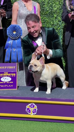 Give a round of a-PAWS for your Non-Sporting Group Winner, WINSTON! 🐶🐾🏆 #WestminsterDogShow #fyp #dogtok #DogsOfTikTok