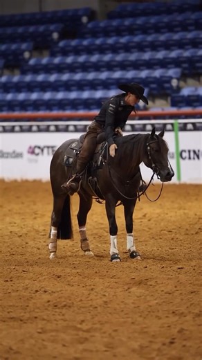 We want to wish the best of luck to the 𝗕𝗮𝗱𝗕𝗼𝗼𝗻𝗔𝗥𝗶𝘀𝗶𝗻𝗴 offspring during the NRCHA Snaffle Bit Futurity 𝗙𝗜𝗡𝗔𝗟𝗦! ▶︎ 𝗚𝗨𝗖𝗖𝗜 𝗚𝗥𝗥𝗟 (IO) ▶︎ 𝗧𝗨𝗙𝗙 𝗔𝗡𝗗 𝗔𝗥𝗜𝗦𝗜𝗡𝗚 (OIO) ▶︎ 𝗥𝗘𝗬𝗔𝗟 𝗕𝗟𝗔𝗤𝗨𝗘 (O) ▶︎ 𝗥𝗘𝗗 𝗕𝗘𝗔𝗡𝗭 𝗡 𝗥𝗜𝗖𝗘 (O) ▶︎ 𝗕𝗔𝗗𝗗𝗜𝗘𝗦 𝗢𝗡𝗟𝗬 (OIO) 𝗕𝗮𝗱𝗕𝗼𝗼𝗻𝗔𝗥𝗶𝘀𝗶𝗻𝗴 continues to demonstrate why he is one of the most influential sires in the industry, consistently producing exceptional athletes with outstanding cow sense, athleticism, 