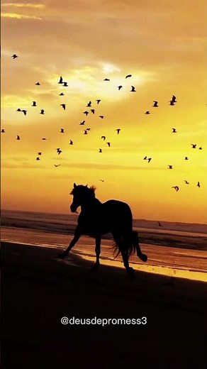 O Sol a Lua e o Mar #fernandinho