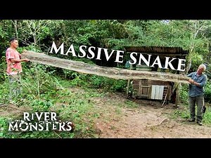 Our Favourite Moments From Jeremy Wade Fishing In The SOUTHERN Hemisphere | River Monsters