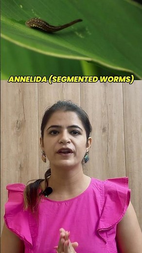 Annelida Explained: Discover the Secrets of Segmented Worms!