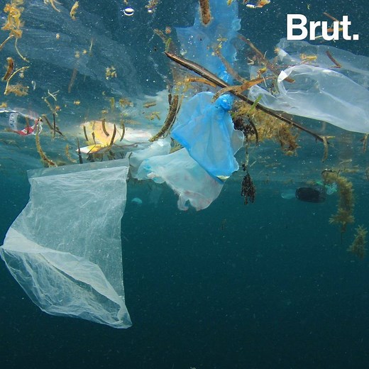 Un 8ème continent s'est formé. Et il est fait de plastique. (via Brut nature FR) | Brut