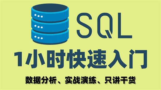 【SQL数据库】1小时快速通关，由浅入深只讲干货2025最新课程，只要学完MySQL SQL server SQL注入 数据分析 SQL手工注入 SQLmap