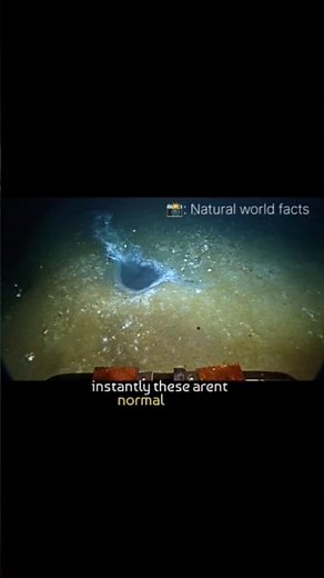 BRINE POOLS in the deep sea discovered 😮⛵
