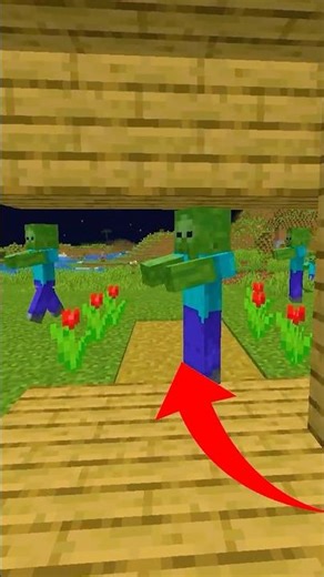 Puerta Invisible en Minecraft... 😱