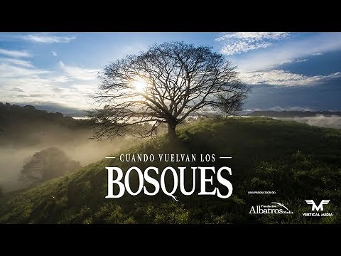 Documental: “Cuando vuelvan los Bosques”