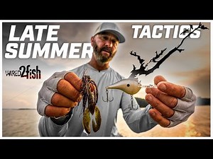 Late Summer Bass Tactics on TVA Lakes with Swindle