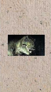 Dinosaurs Were WAY Stranger Than You Think… 😳🦖”#dinosaurs #facts #crazyfacts#didyouknow##fypシ゚viral