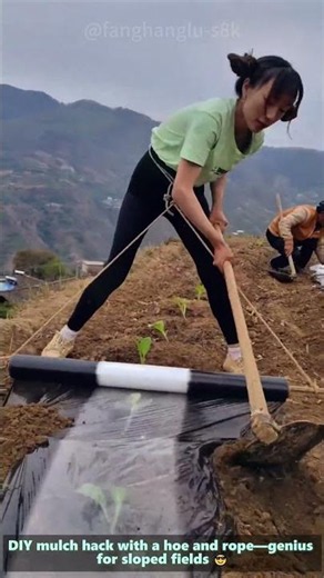 Laying Mulch Film on a Mountain Slope Farm