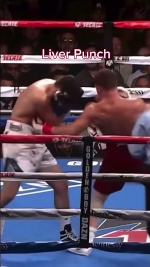 a precise liver shot can cause intense pain and disrupt breathing, often crippling an opponent🥊