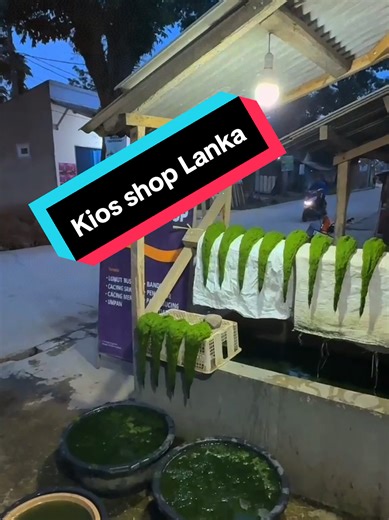 Kios shop Lanka sedia berbagai aksesoris peralatan mancing dll essen silanka 100%original untuk essen silanka bisa cek di bio kranjang. #fypシ゚