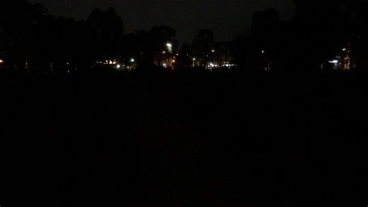 Have a listen to this! It’s the frog chorus at Billabong 1 last night. There are four frog species you can hear in the clip - 1. Growling Grass Frog “grrraaahh gr gr gr” 2. Southern Brown Tree Frog “creee cri cri cri” 3. Spotted Marsh Frog “kik” 4. Striped Marsh Frog “pok” There was was a Rakali in there too. All the effort that YWNA put into Billabong 1 last year really paid off. Now we’re beginning the same process with Pond 5 and 6 and 7 - a huge job that will take months. Soak 2 is probably 