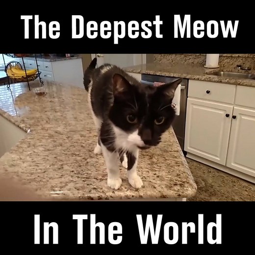 His voice is so deep 😂🔊 | LADbible