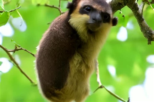 #neurips2025 #attention #sparsity #t2v #t2i #softmax #sparse #cogvideox #pixart #ai #ml #neurips #eurips #professor #collaboration #neurips #artificialintelligence #machinelearning #aigc… | Keith G. Mills, Ph.D.