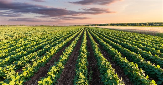 Enversa® Herbicide Gives More Farming