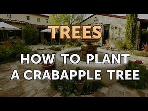 How to Plant a Crabapple Tree