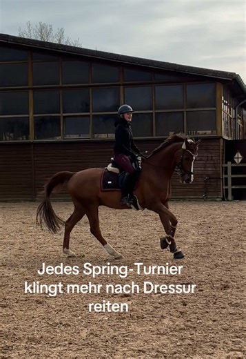Kritik am Spring-Turnier: Dressur oder Freestyle?