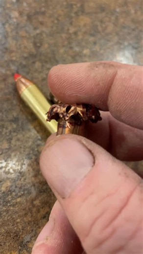 Fred Eichler on Instagram: "Perfect performance everytime. @hornadymfg MonoFlex 45-70 bullet pulled out of a bull our client took with a lever action. #everythingeichler #fulldrawoutfitters #fredeichler #hornady #hornadyammo #monoflex #leveraction #elkseason2025 #perfectperformance"
