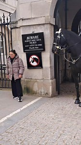 Changeover moment Police advise tourists to move back because of safety 👈 #everyone #horseguards #tourist #fbreels | Princess F Toya