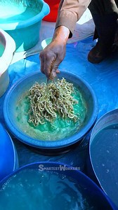 754K views · 4.9K reactions | DIY Nose Pin | Manufacturing Process | Factory Production #shorts #ytshort | Smartest Workers | Facebook