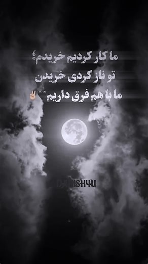 Exploring Danish Culture | Shopping, Leisure, and More!