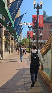 56K views · 589 reactions | Chicago 's L #chicago #usareels #america #fblifestyle | Adechi Olasodé | Facebook