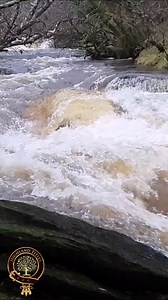 Take a moment to appreciate nature. @highlandtitles #scottishlife #becomeaLady #instagood #scottishbloggers #travelblogger #highlanders #scottishcollective #glencoe #travel #summer #scottishblog #scottishscenery #redsquirrels #HighlandTitles #christmasgift #scotlandisbeautiful #scottishlove #scottishvanlife #deer #givethegiftofland #savetheplanet #scottishbloggernetwork #scottishmountains #explorescotland #conservingscotland #scottishlifestyle #savetheanimals #photography #highlandtitlesnaturere