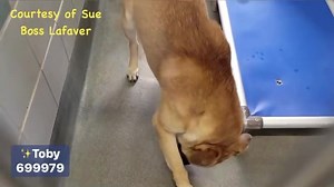 5.1K views · 742 reactions | 1/13 UPDATE  He WAS 1 of 9...