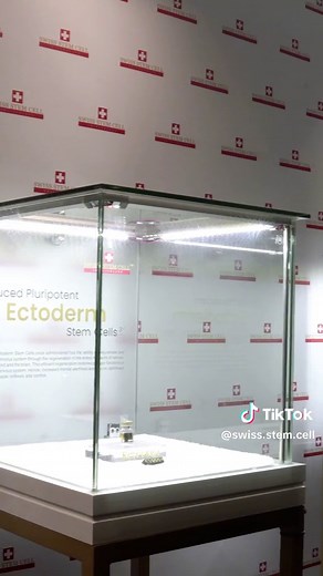 Welcome to Swiss Stem Cell, Kuching. We are proud to be one of the first in Kuching to offer Induced Pluripotent Stem Cell Therapy. Contact us today to visit our showroom 🥰 #swissstemcell #betterlife #malaysia #switzerland #swiss #therapy #lifestyle #healthylifestyle #healthieryou