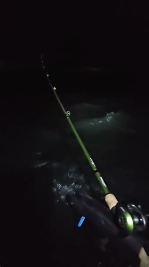 Night trolling for walleye #fishing #trolling #fish #youtubeshorts #kastking #lakeerie
