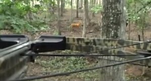 Didn't Anyone Ever Tell You Dry Firing a Crossbow is a Bad Idea?