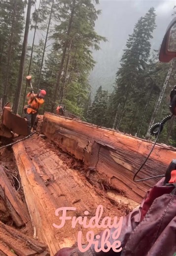 Chainsaw Carving Techniques for Challenging Logs