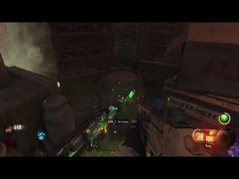 Playing COD BO zombies
