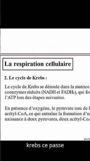 Explication courte du Cycle de Krebs dans la respiration cellulaire en Biologie