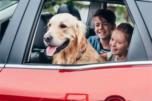 Car insurance costs have jumped £123 in a year, but an easy trick can HALVE your costs - Netmums