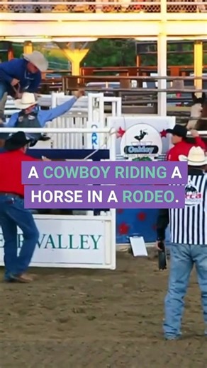 Rodeo Insurance Safety for the Sport
