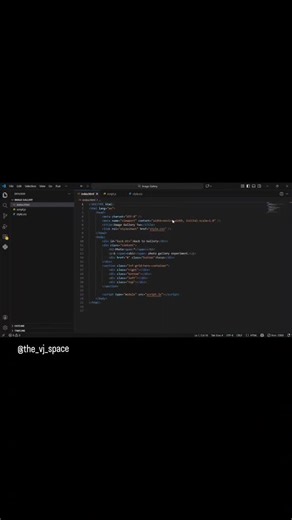 The_VJ_Space on Instagram: "Built a Responsive Image Gallery 📸 Pure HTML • CSS • JavaScript 💌 DM to get the source code #trendingreels #imagegallery #websitedesign #businesswebsite #codinglife"