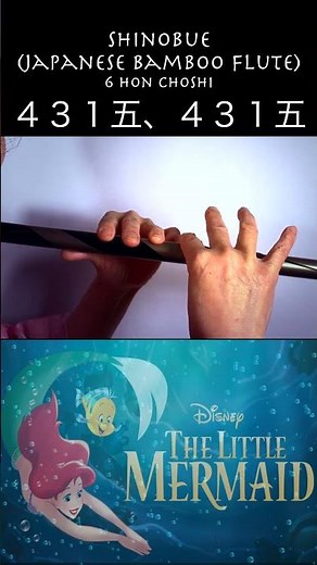 Part of Your World Shinobue Tutorial (The Little Mermaid)