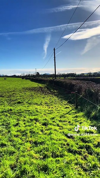 Insights on Chinese People and Cultural Perspectives